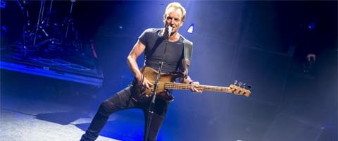 sting